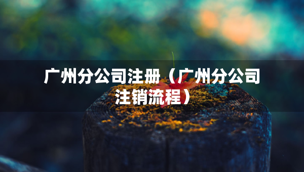 廣州分公司注冊(cè)（廣州分公司注銷流程）