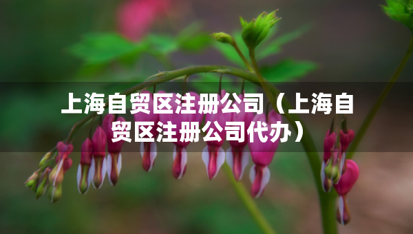 上海自貿(mào)區(qū)注冊(cè)公司（上海自貿(mào)區(qū)注冊(cè)公司代辦）
