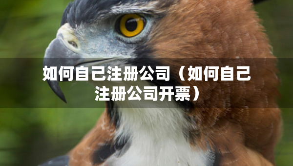 如何自己注冊公司（如何自己注冊公司開票）