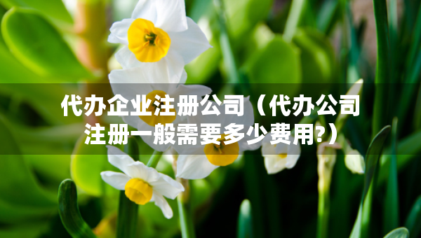 代辦企業(yè)注冊公司（代辦公司注冊一般需要多少費用?）