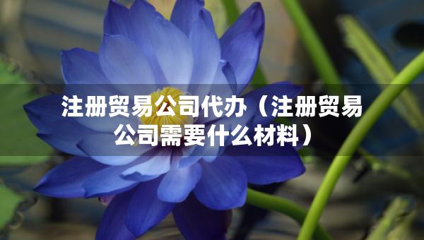 注冊(cè)貿(mào)易公司代辦（注冊(cè)貿(mào)易公司需要什么材料）