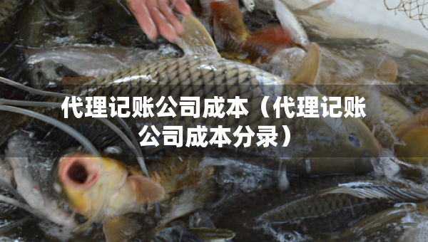 代理記賬公司成本（代理記賬公司成本分錄）