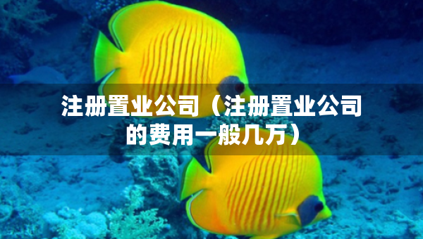 注冊(cè)置業(yè)公司（注冊(cè)置業(yè)公司的費(fèi)用一般幾萬）