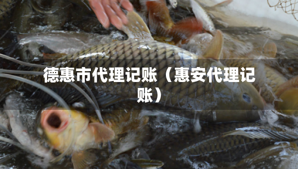 德惠市代理記賬（惠安代理記賬）