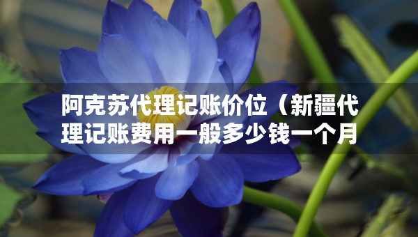 阿克蘇代理記賬價(jià)位（新疆代理記賬費(fèi)用一般多少錢(qián)一個(gè)月）