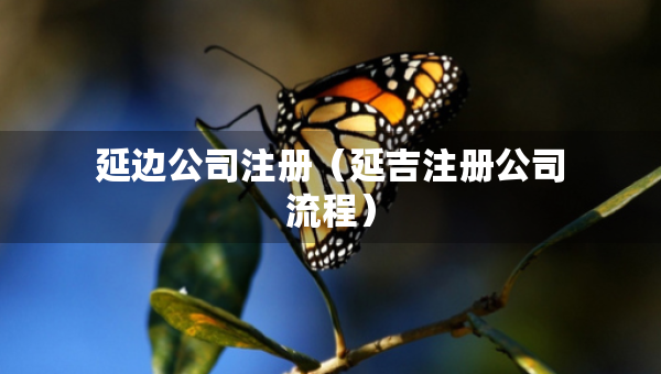 延邊公司注冊（延吉注冊公司流程）