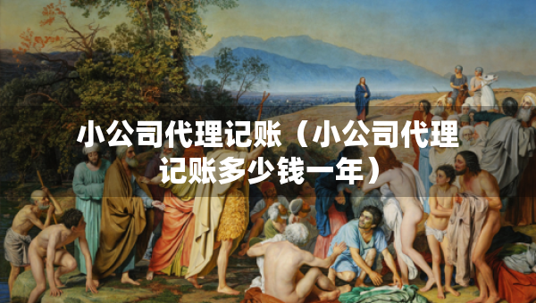 小公司代理記賬（小公司代理記賬多少錢(qián)一年）