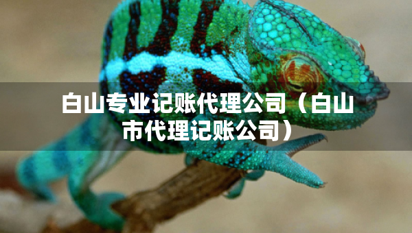 白山專業(yè)記賬代理公司（白山市代理記賬公司）
