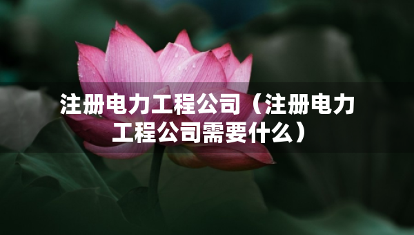 注冊電力工程公司（注冊電力工程公司需要什么）