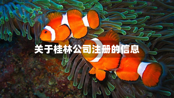 關(guān)于桂林公司注冊的信息