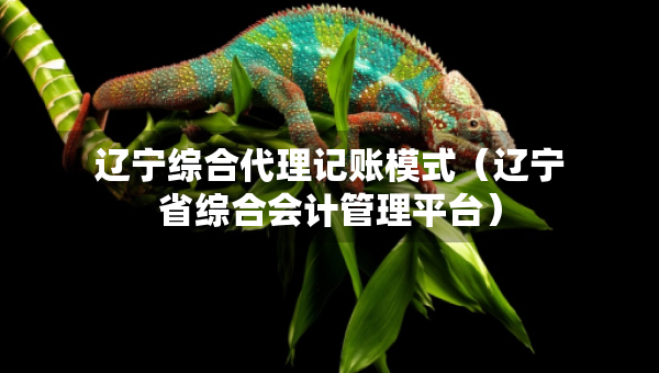遼寧綜合代理記賬模式（遼寧省綜合會(huì)計(jì)管理平臺(tái)）