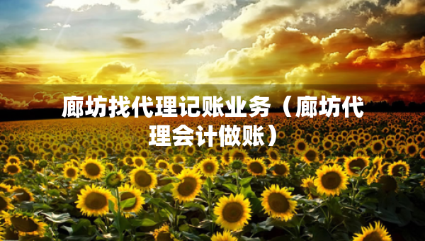 廊坊找代理記賬業(yè)務（廊坊代理會計做賬）