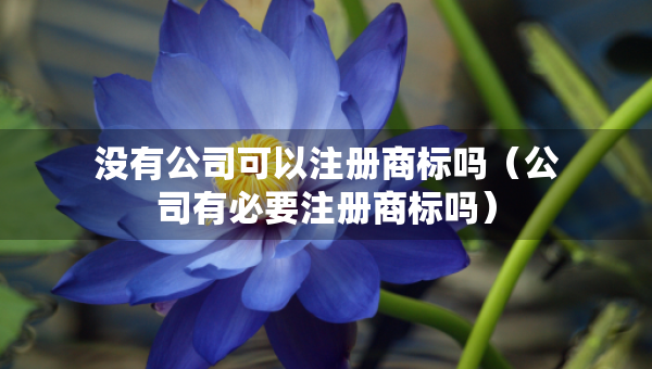 沒有公司可以注冊商標(biāo)嗎（公司有必要注冊商標(biāo)嗎）