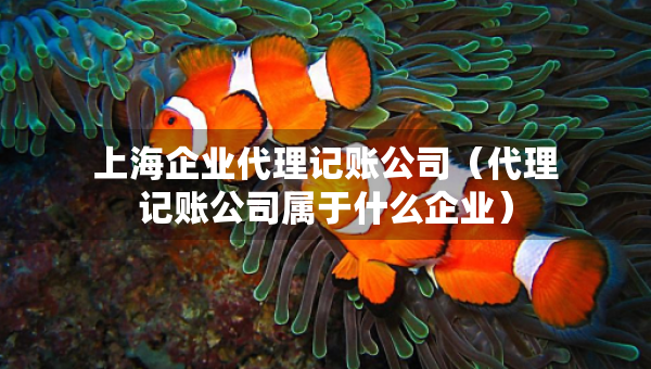 上海企業(yè)代理記賬公司（代理記賬公司屬于什么企業(yè)）