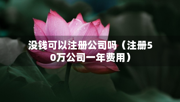沒錢可以注冊公司嗎（注冊50萬公司一年費用）