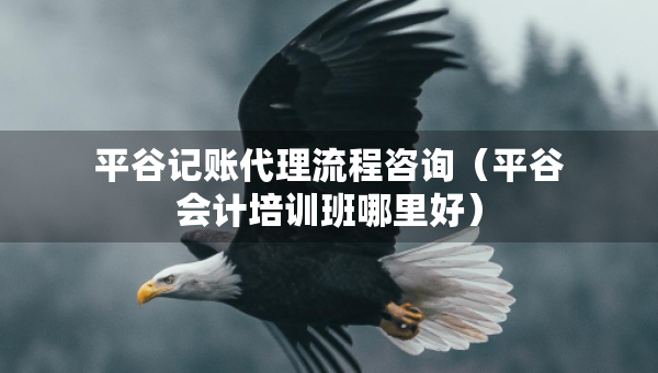 平谷記賬代理流程咨詢（平谷會(huì)計(jì)培訓(xùn)班哪里好）