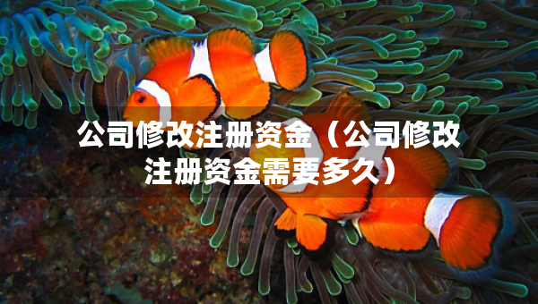 公司修改注冊(cè)資金（公司修改注冊(cè)資金需要多久）