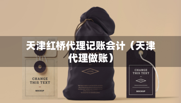 天津紅橋代理記賬會計（天津代理做賬）