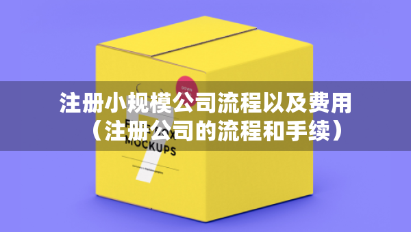 注冊小規(guī)模公司流程以及費用（注冊公司的流程和手續(xù)）