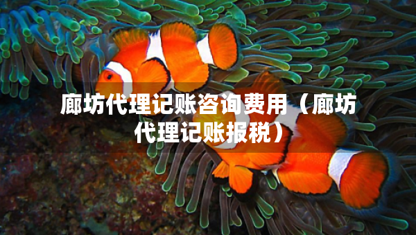 廊坊代理記賬咨詢費(fèi)用（廊坊代理記賬報(bào)稅）