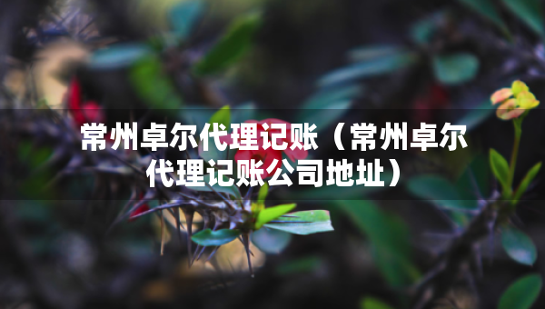 常州卓爾代理記賬（常州卓爾代理記賬公司地址）