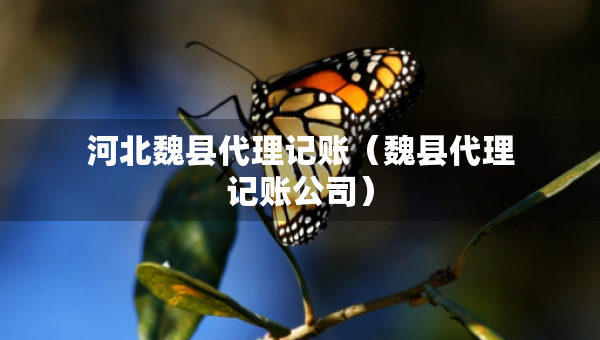 河北魏縣代理記賬（魏縣代理記賬公司）