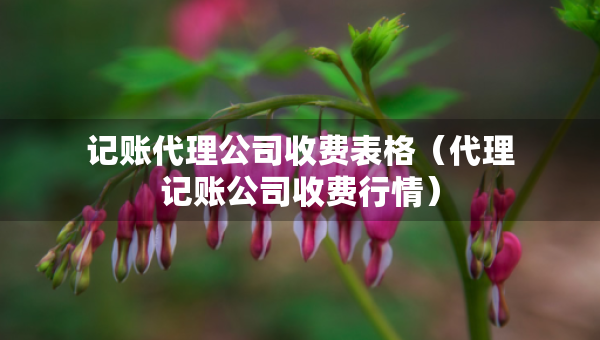 記賬代理公司收費表格（代理記賬公司收費行情）