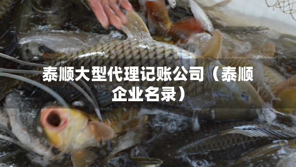 泰順大型代理記賬公司（泰順企業(yè)名錄）