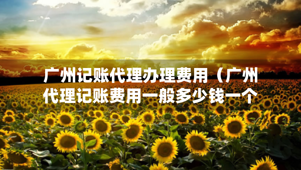 廣州記賬代理辦理費(fèi)用（廣州代理記賬費(fèi)用一般多少錢一個月）