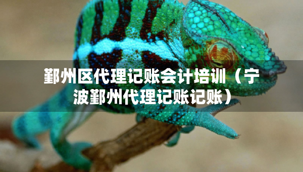 鄞州區(qū)代理記賬會計培訓（寧波鄞州代理記賬記賬）