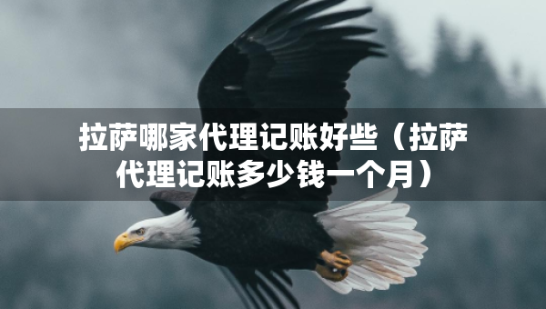 拉薩哪家代理記賬好些（拉薩代理記賬多少錢一個(gè)月）