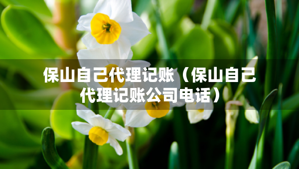 保山自己代理記賬（保山自己代理記賬公司電話）