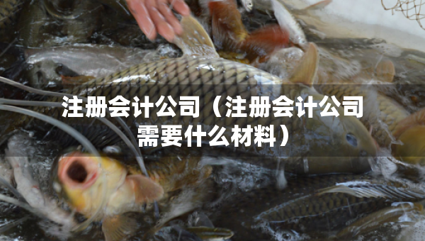 注冊(cè)會(huì)計(jì)公司（注冊(cè)會(huì)計(jì)公司需要什么材料）