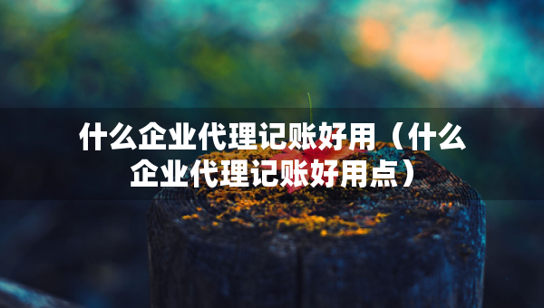 什么企業(yè)代理記賬好用（什么企業(yè)代理記賬好用點）