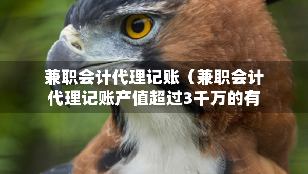 兼職會計代理記賬（兼職會計代理記賬產(chǎn)值超過3千萬的有哪些）