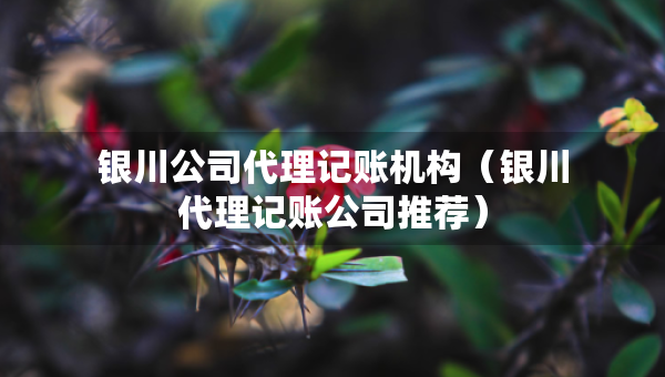 銀川公司代理記賬機(jī)構(gòu)（銀川代理記賬公司推薦）