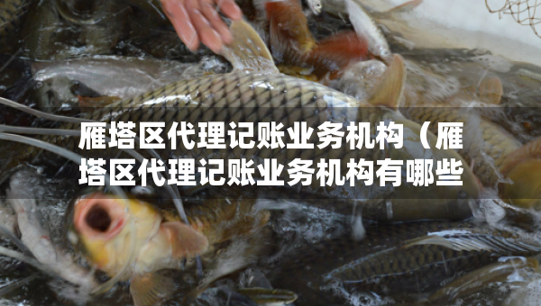 雁塔區(qū)代理記賬業(yè)務(wù)機(jī)構(gòu)（雁塔區(qū)代理記賬業(yè)務(wù)機(jī)構(gòu)有哪些）