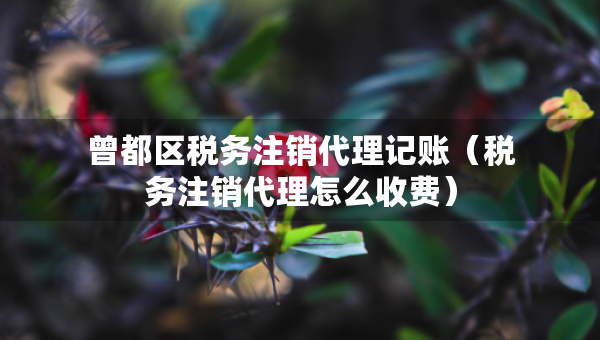 曾都區(qū)稅務(wù)注銷代理記賬（稅務(wù)注銷代理怎么收費）