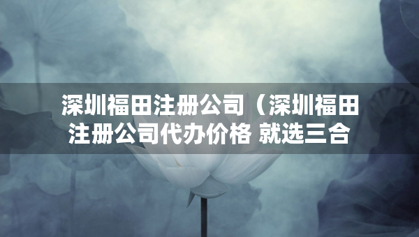 深圳福田注冊公司（深圳福田注冊公司代辦價格 就選三合一財稅）