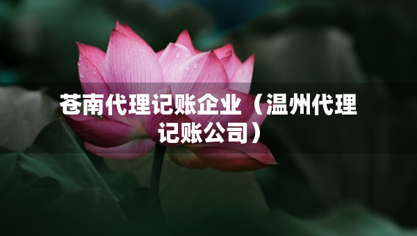 蒼南代理記賬企業(yè)（溫州代理記賬公司）