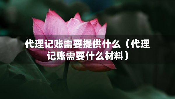 代理記賬需要提供什么（代理記賬需要什么材料）
