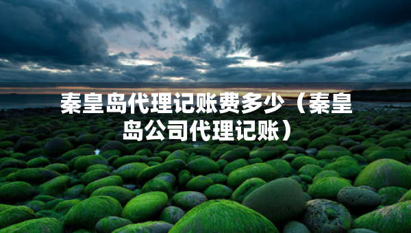 秦皇島代理記賬費多少（秦皇島公司代理記賬）