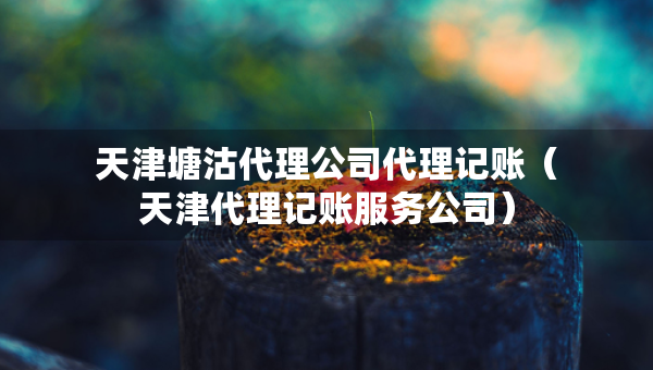 天津塘沽代理公司代理記賬（天津代理記賬服務(wù)公司）