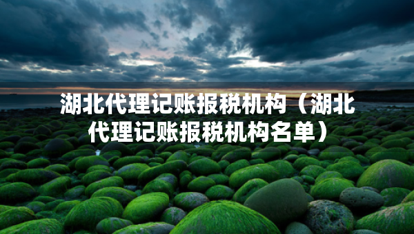 湖北代理記賬報(bào)稅機(jī)構(gòu)（湖北代理記賬報(bào)稅機(jī)構(gòu)名單）