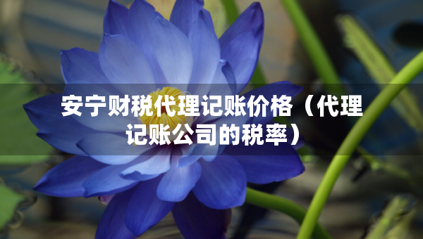 安寧財稅代理記賬價格（代理記賬公司的稅率）