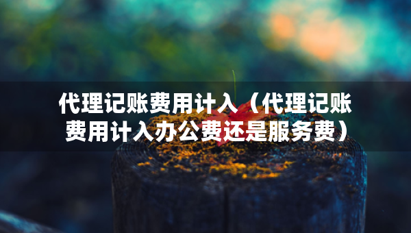 代理記賬費(fèi)用計(jì)入（代理記賬費(fèi)用計(jì)入辦公費(fèi)還是服務(wù)費(fèi)）