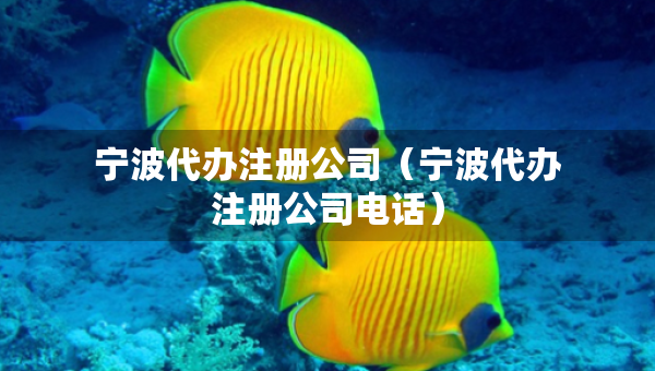 寧波代辦注冊(cè)公司（寧波代辦注冊(cè)公司電話）