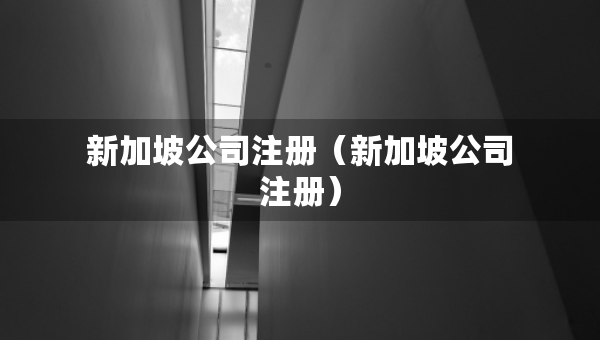 新加坡公司注冊（新加坡公司注冊）