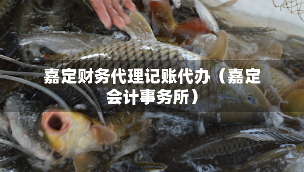 嘉定財(cái)務(wù)代理記賬代辦（嘉定會(huì)計(jì)事務(wù)所）