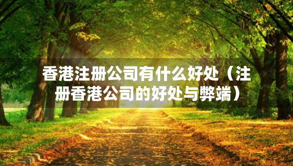香港注冊公司有什么好處（注冊香港公司的好處與弊端）